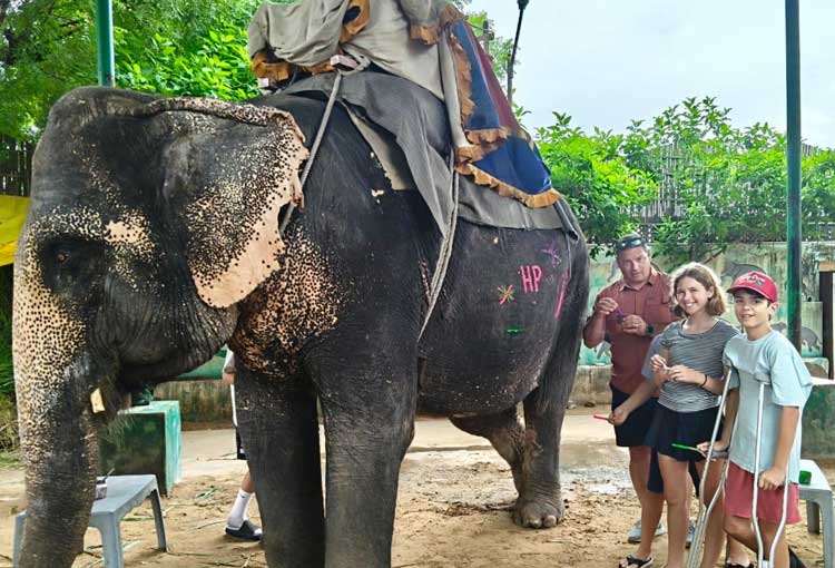 India Travel