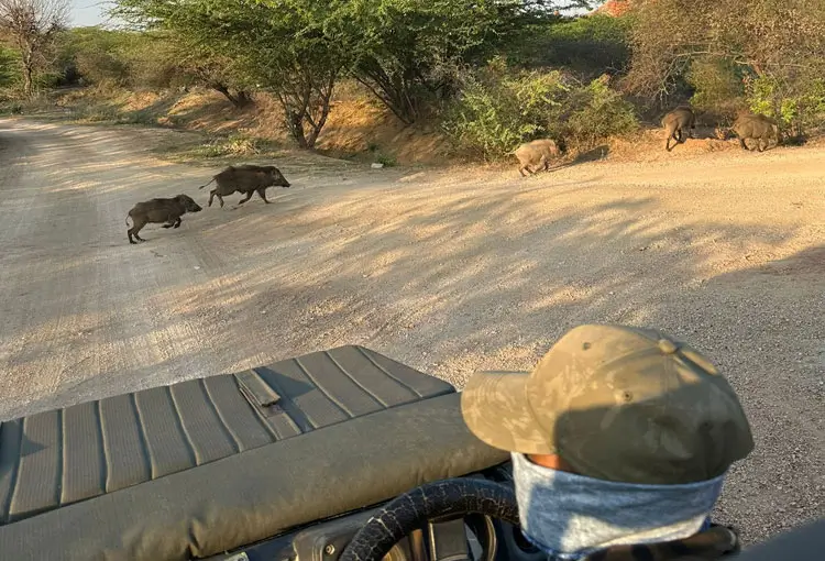 India Travel