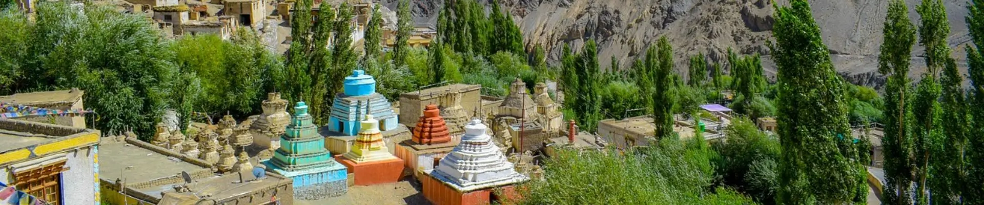 Lo Mejor de Ladakh 11 Días | Tour Privado | India Viajes