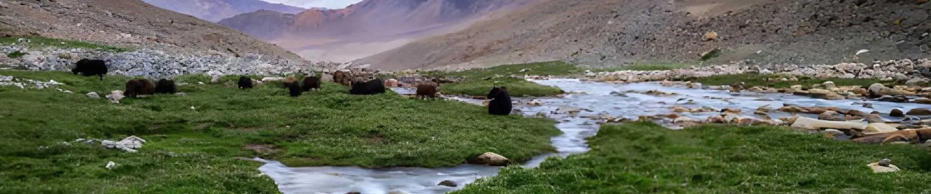 Tour de Leh Ladakh y Cachemira 13 Días | Viaje Privado por el Himalaya de la India