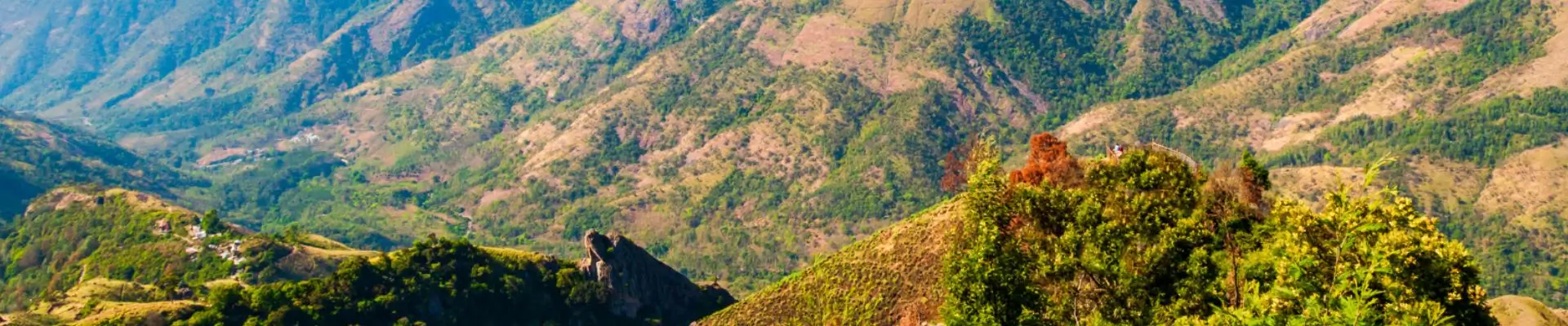 Tour Periyar y Ghats Occidentales 8 Días | India Viajes