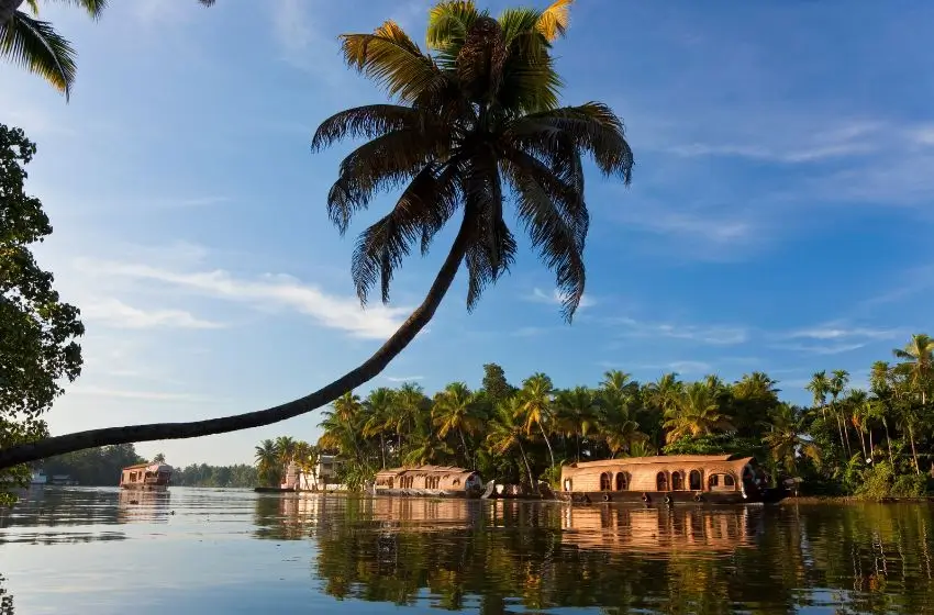 Tour Triángulo Dorado con Kerala 13 Días | India Viajes